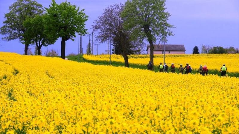 Le Lodge Du Parc Beaune  Dış mekan fotoğraf