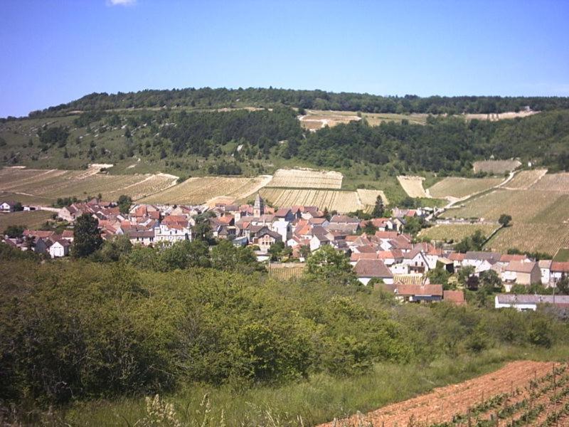 Le Lodge Du Parc Beaune  Dış mekan fotoğraf